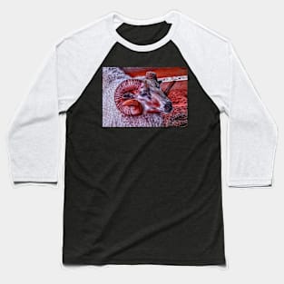 white sheep Baseball T-Shirt